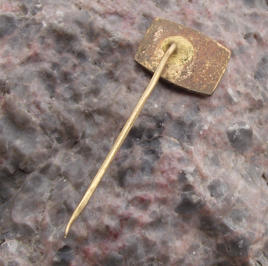 Vintage Nove Mesto nad Metuji Czechoslovakia Fishing Association Pin Badge