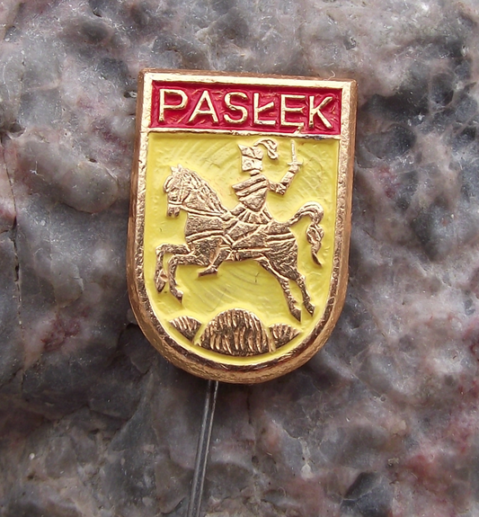 Vintage Poland Heraldic Polish City Town Crest Paslek Pin Badge