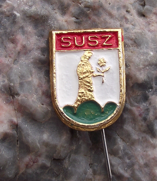 Vintage Poland Heraldic Polish City Town Crest Susz Pin Badge