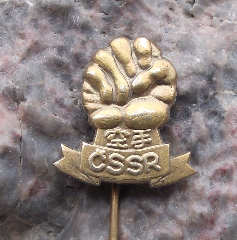 Vintage Karate Association of Czechoslovakia Fist CSSR Pin Badge