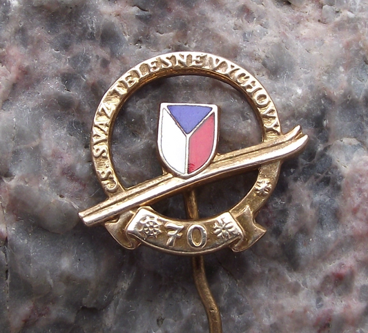 1973 Czechoslovakia 3rd Winter Tourist Meeting CSTV Skiing Pin Badge