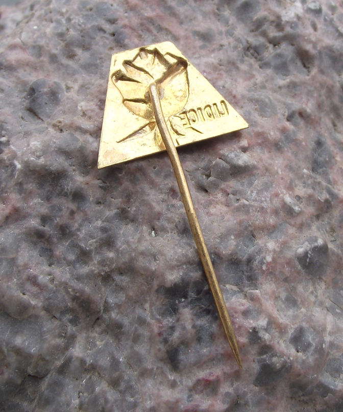 Vintage Metal Remembrance Rose for Lidice Destroyed 1942 by SS Troops Pin Badge