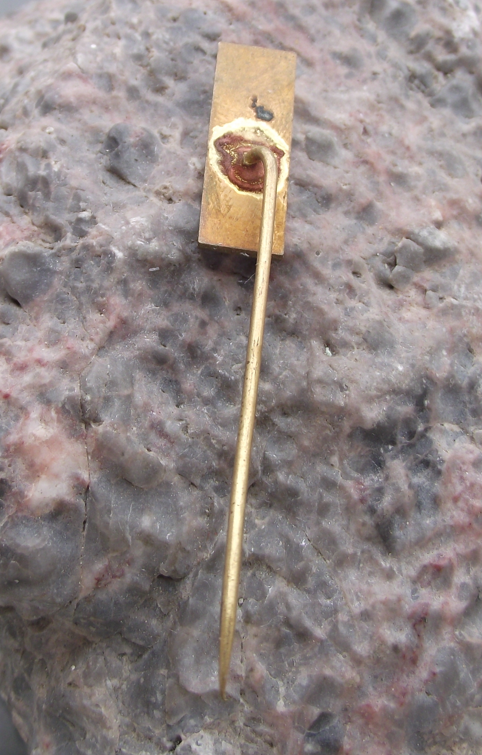 Vintage Lidice Village Rose Memorial Barbed Wire Fence Pin Badge