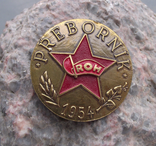 1954 Czechoslovakia ROH Champion of Trade Unions Award Pin Badge