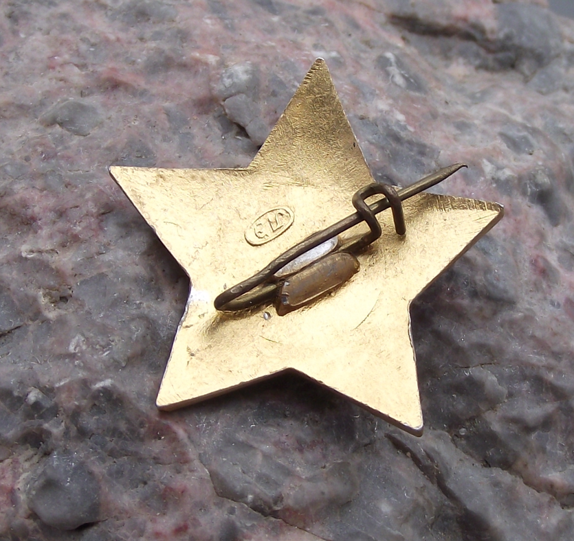 Vintage Little Octobrist Young Lenin Red Star Pioneer Youth Movement Pin Badge