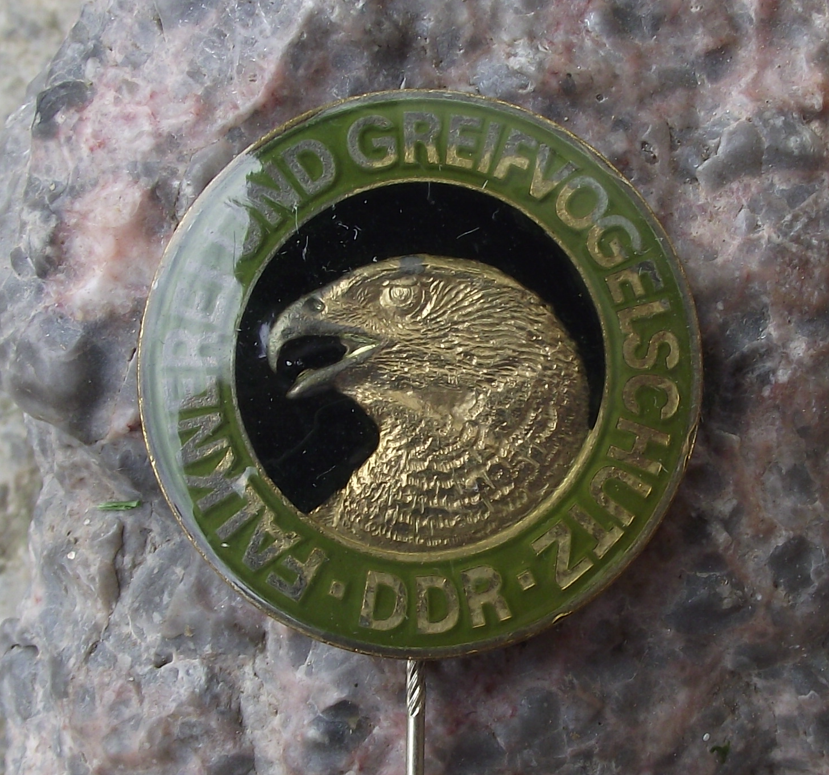 Vintage East Germany DDR GDR Falcon Goshawk Association Pin Badge