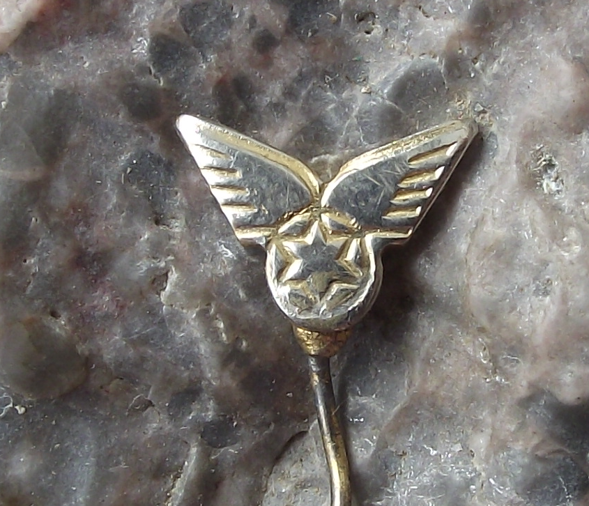 Vintage El Al Israel Airways Winged Star of David Logo Pin Badge