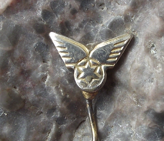 Vintage El Al Israel Airways Winged Star of David Logo Pin Badge