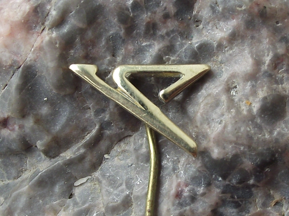 Vintage Condor German Airlines Deutsche Flugdienst Logo Pin Badge