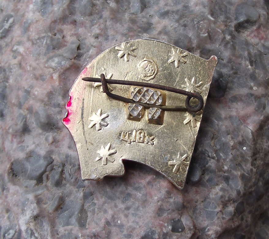 Vintage Vladimir Lenin Head and Red Flag of Socialism Pin Badge