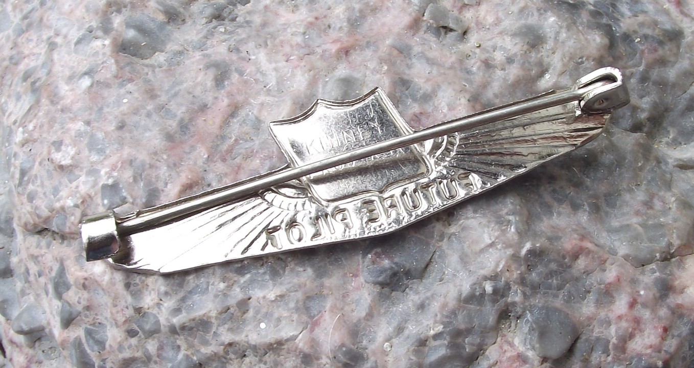 Vintage United Airlines Wings Future Pilot Pin Badge