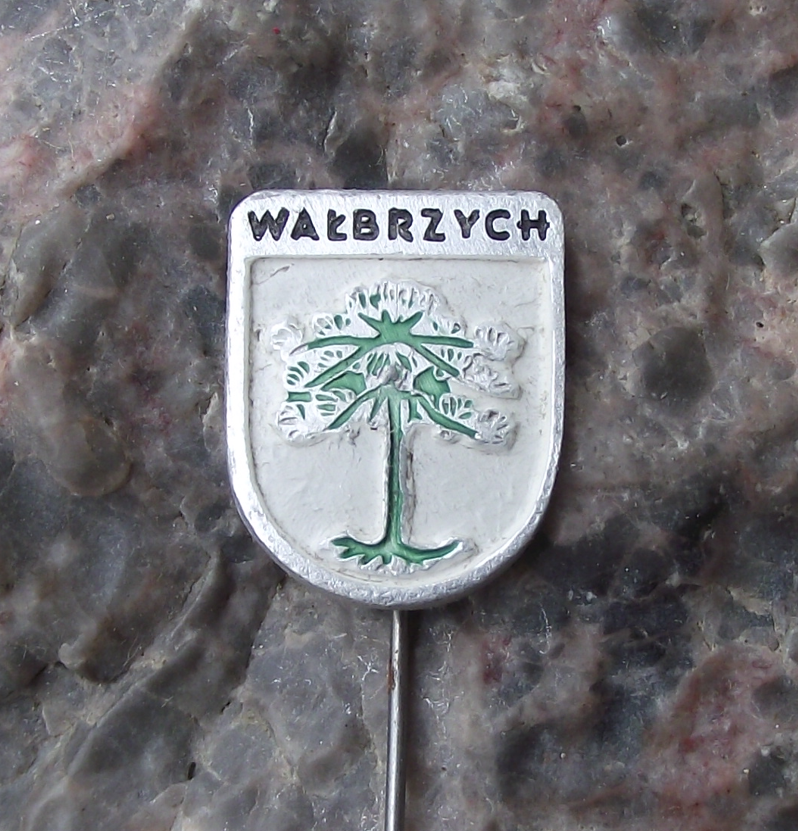 Vintage Poland Heraldic Polish City Walbrzych Town Crest Pin Badge