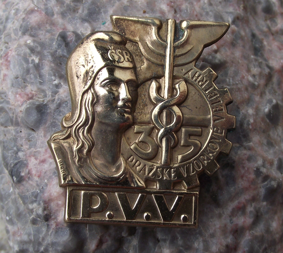 1930's Czechoslovakia PVV 35th Prague International Trade Show Messe Pin Badge