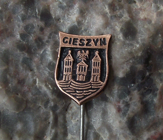 Vintage Cieszyn kod Pocztowy Poland Heraldic Crest Small Shield Pin Badge