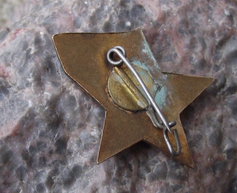 1940's Bulgaria Suffragettes Movement Womens Rights Union Star Pin Badge