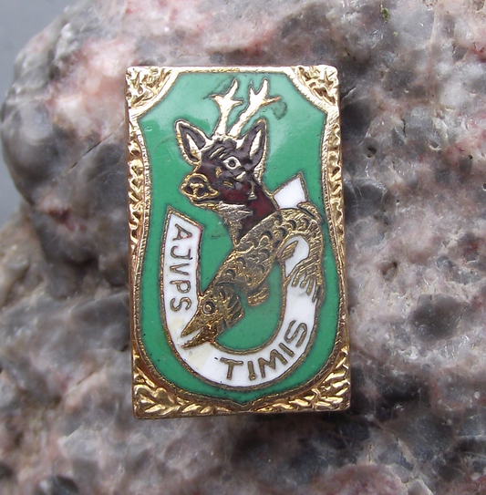 Vintage Romanian Hunting Fishing Association Timis District Pin Badge