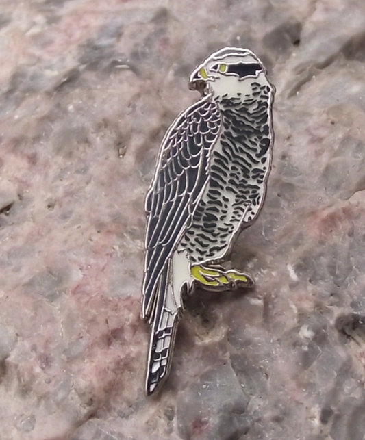 Goshawk Hawk Europe Bird of Prey Brooch Raptor Pin Badge