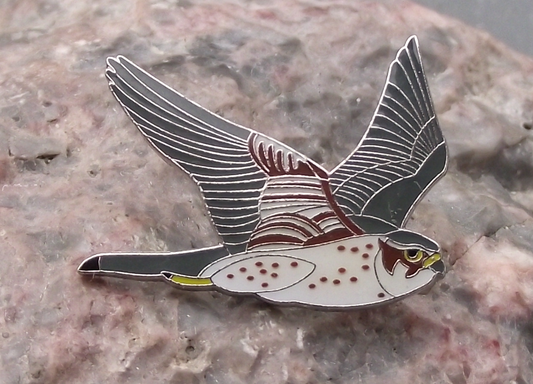 Merlin Hawk Europe Bird of Prey Brooch Raptor Pin Badge