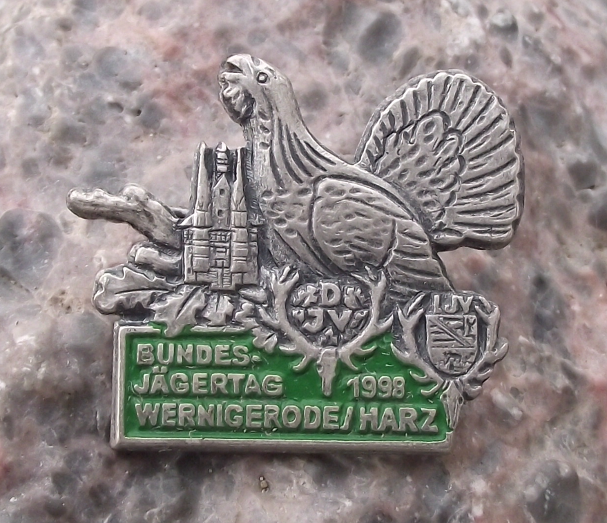 1998 German Hunting Society DJV Hunters Day Wernigerode Harz Pin Badge