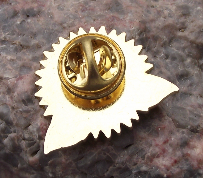 Helianthus Giant Yellow Sunflower Summer Sun Flower Brooch Pin Badge