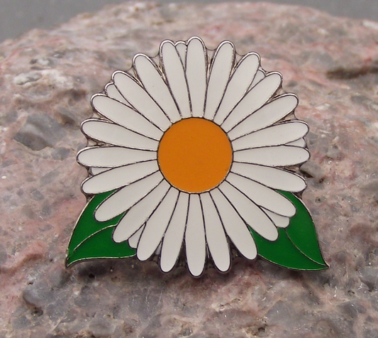 Ox Eye Oxeye Daisy Common Wild Flower White Bloom Brooch Pin Badge