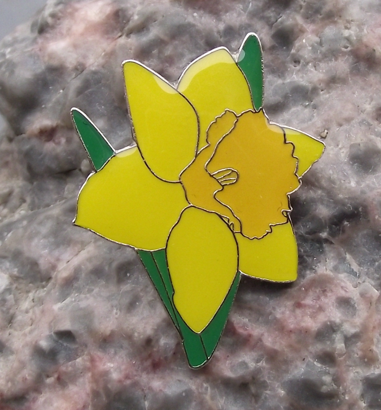 Narcissus Daffodil Spring Bulb Yellow Flower Bloom Brooch Pin Badge