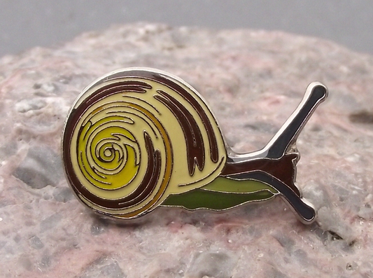 Pretty North American Banded Land Snail Mollusc with Shell Pin Badge