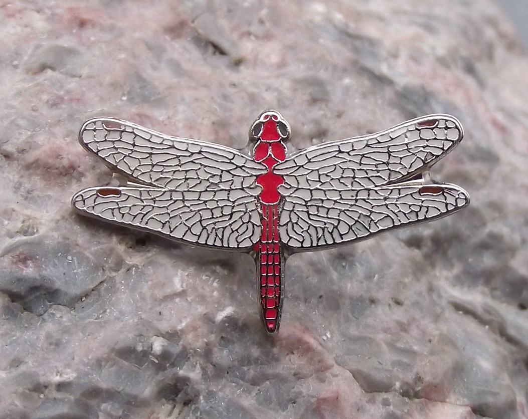 Red Veined Darter Dragonfly Damselfly Prehistoric Flying Insect Pin Badge