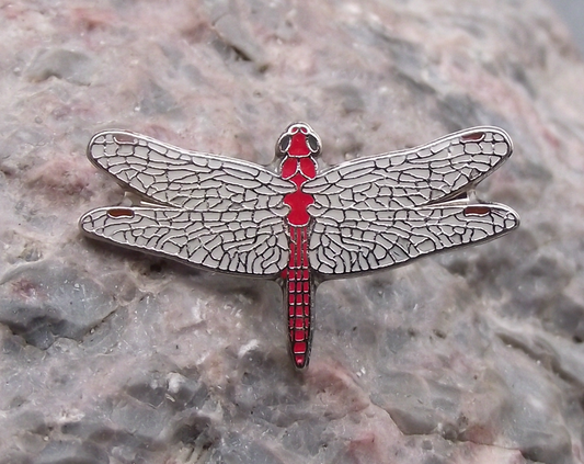 Red Veined Darter Dragonfly Damselfly Prehistoric Flying Insect Pin Badge