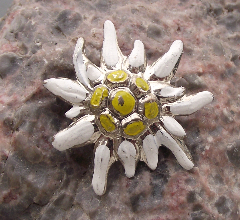 Vintage Austrian Hand Painted Edelweiss Mountain Flower Hunting Pin Badge