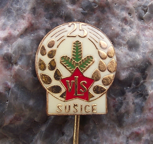 1978 VLS Military Forestry Management Pine Twig Dagger Susice Pin Badge