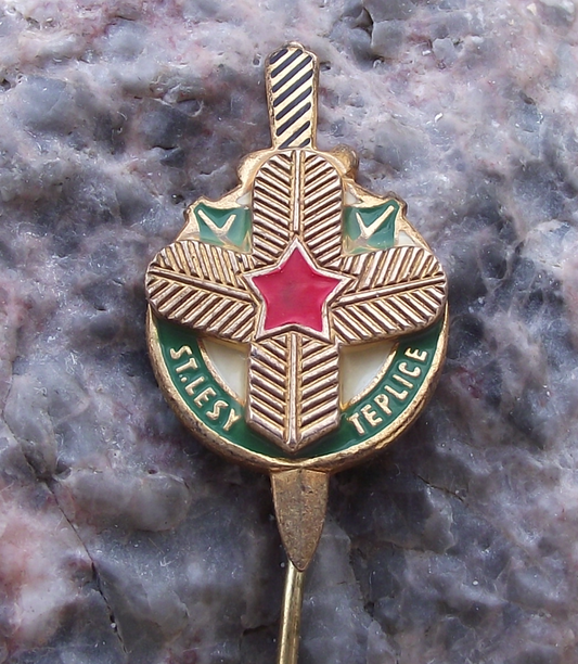 Vintage VLS Military Forestry Management Pine Twig Dagger Teplice Pin Badge