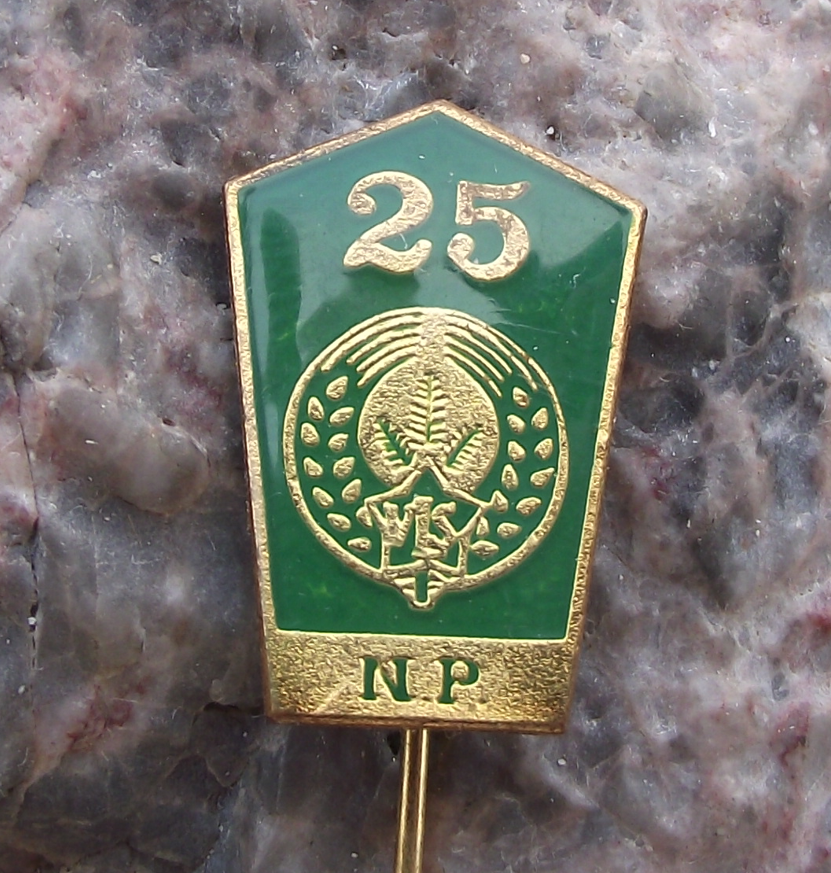 1978 VLS Military Forestry Management Pine Twig Dagger Anniversary Pin Badge