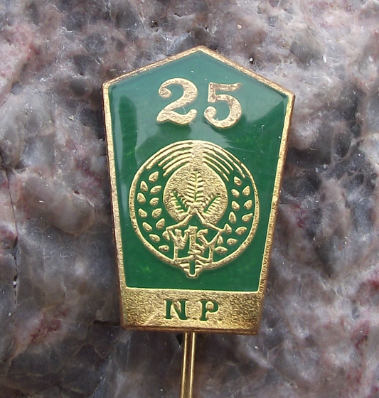 1978 VLS Military Forestry Management Pine Twig Dagger Anniversary Pin Badge