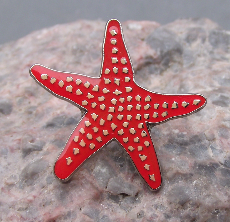 Common Starfish Sea Star Asterias Five Armed Marine Wildlife Brooch Pin Badge