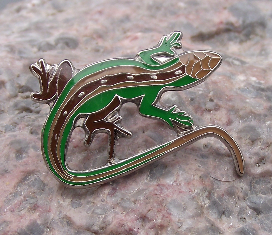 American Green Brown Long Tailed Lizard Wildlife Small Reptile Brooch Pin Badge