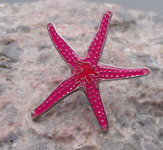 Bloody Starfish Sea Star Henrica Five Armed Marine Wildlife Brooch Pin Badge