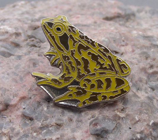 Common Brown Green Bullfrog Frog Amphibian Protection Preservation Pin Badge