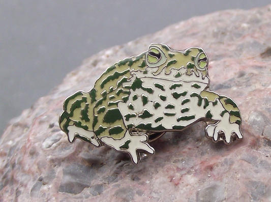 European Natterjack Toad Frog Amphibian Protection Preservation Pin Badge