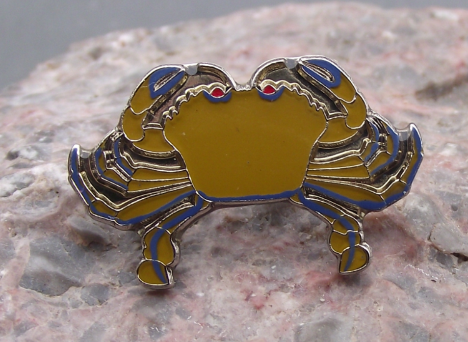 Green Velvet Crab Seaside Rock Shore Crustacean Wildlife Brooch Pin Badge