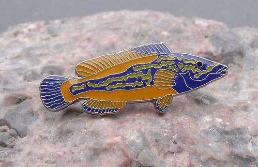 Pretty Wrasse Brightly Rainbow Coloured Marine Reef Fish Divers Brooch Pin Badge