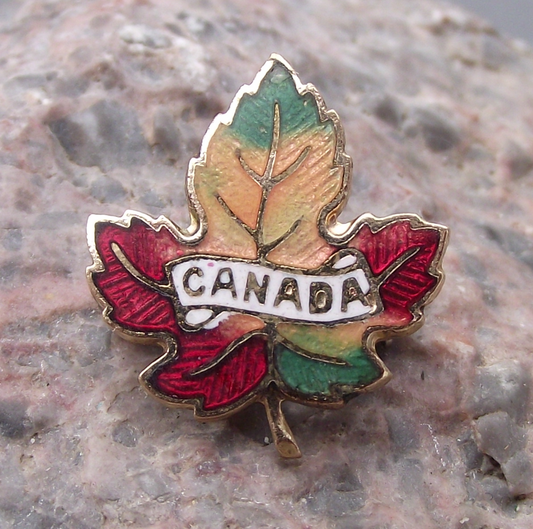 Vintage Canada Autumn Maple Leaf Fall Canadian Enamel Pin Badge