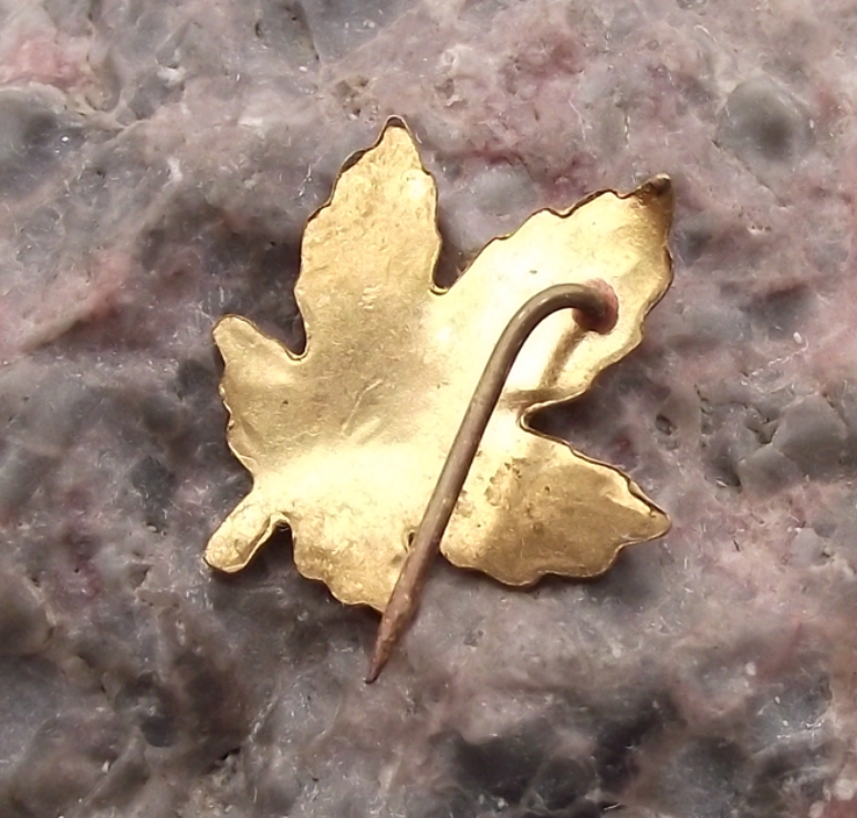 Vintage Golden Canada Text Textured Maple Leaf Canadian Pin Badge