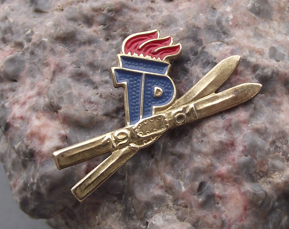 1961 Thalmann Pioneers East German Youth Organisation DDR Skiing Award Pin Badge