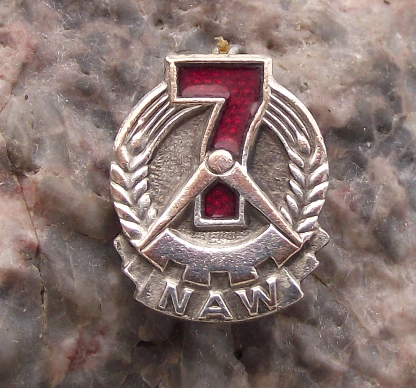 Vintage NAW Nationales Aufbauwerk East German Voluntary Work DDR Pin Badge