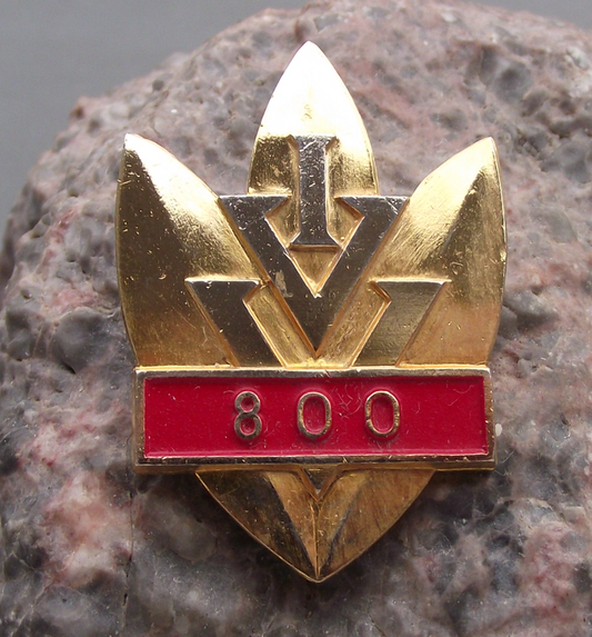 Vintage 800 km IVV Internationaler Volkssportverband Large Award Pin Badge