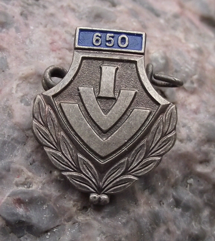 Vintage 650 km IVV Internationaler Volkssportverband Walking Award Pin Badge