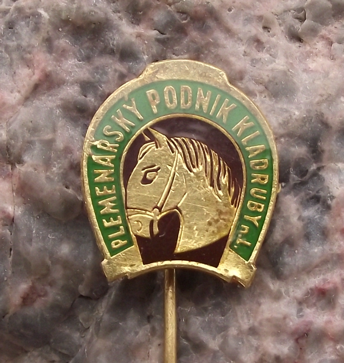 Vintage Kladruby nad Labem Horse Equestrian Centre Horseshoe Pin Badge