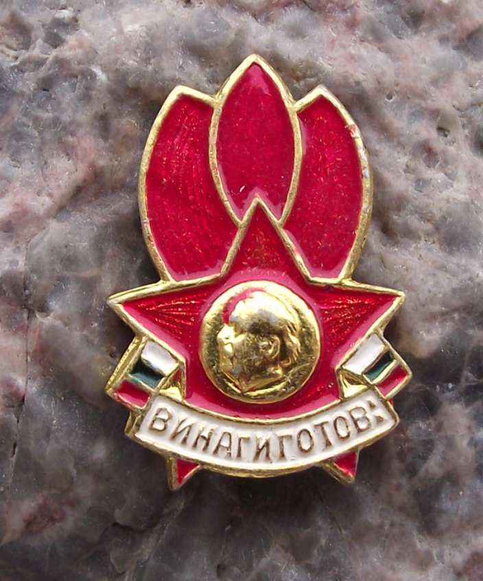 Vintage Bulgaria Dimitrovist Pioneer Organization Communist Youth Pin Badge