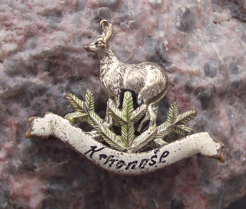 Vintage Chamois Mountain Deer Krkonose Pine Twig Hunters Hunting Pin Badge